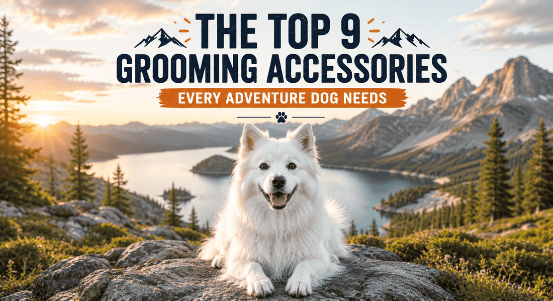The Top 9 Dog Grooming Accessories Every Adventure Dog Needs - PeakPaws Co.