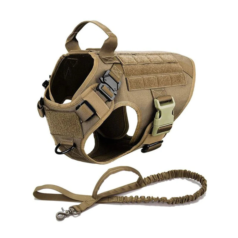 Tactical Adventure Dog Harness and Leash Set
