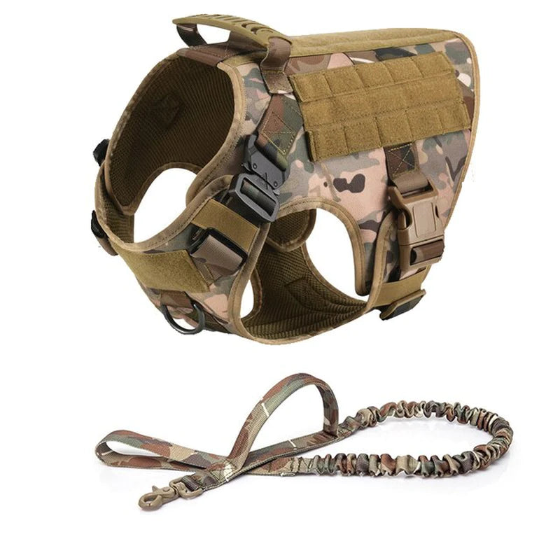 Tactical Adventure Dog Harness and Leash Set