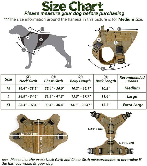 Tactical Adventure Dog Harness and Leash Set