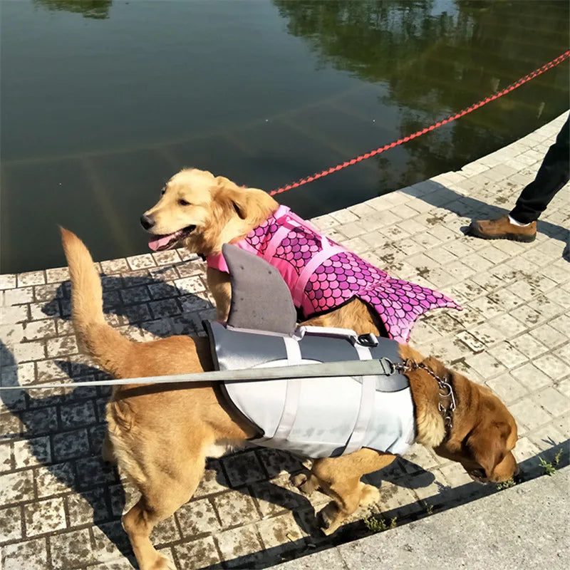 Dog wearing a pink mermaid tail and gray shark vest by a body of water.
