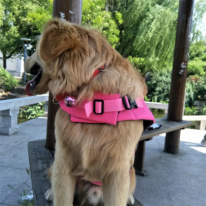 Dog wearing a pink harness sitting on a wooden bench outdoors.