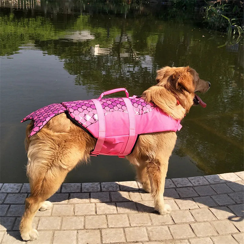 Dog wearing a pink life jacket by a body of water