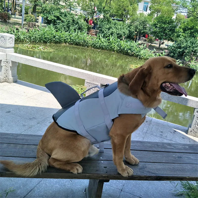 Dog wearing a life jacket on a wooden bench by a pond with greenery in the background