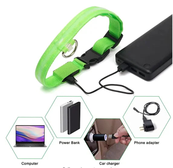 USB Rechargeable LED Waterproof Dog Collar with Detachable Light PeakPaws Co.