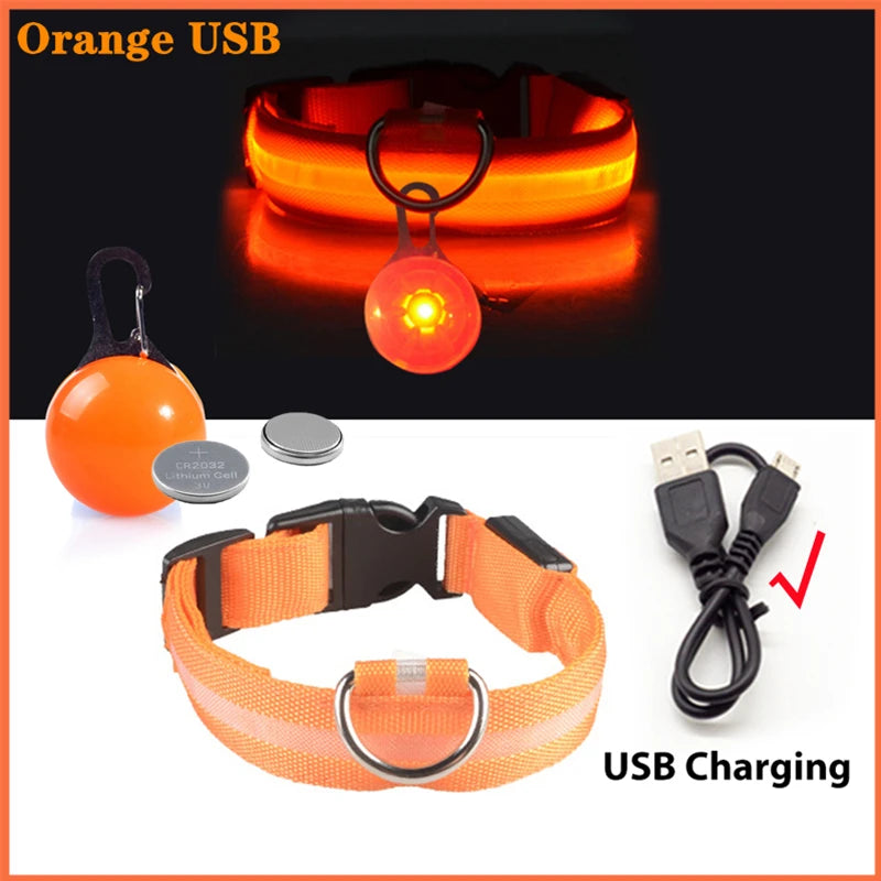 USB Rechargeable LED Waterproof Dog Collar with Detachable Light PeakPaws Co.