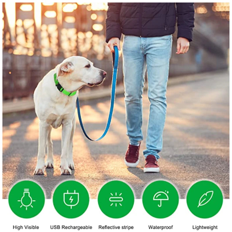 USB Rechargeable LED Waterproof Dog Collar with Detachable Light PeakPaws Co.