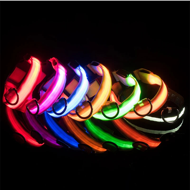 USB Rechargeable LED Waterproof Dog Collar with Detachable Light PeakPaws Co.