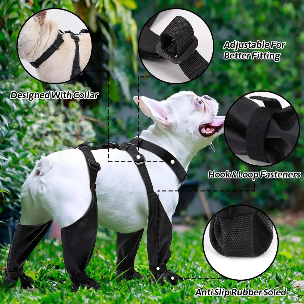 Anti-Slip Waterproof Dog Boots with Suspenders – Paw Protector Shoes PeakPaws Co.