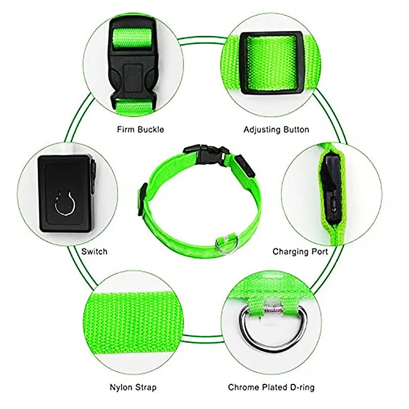 USB Rechargeable LED Waterproof Dog Collar with Detachable Light PeakPaws Co.