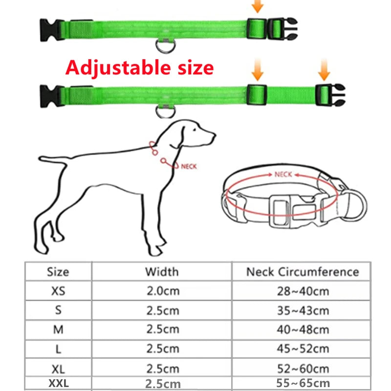 USB Rechargeable LED Waterproof Dog Collar with Detachable Light PeakPaws Co.