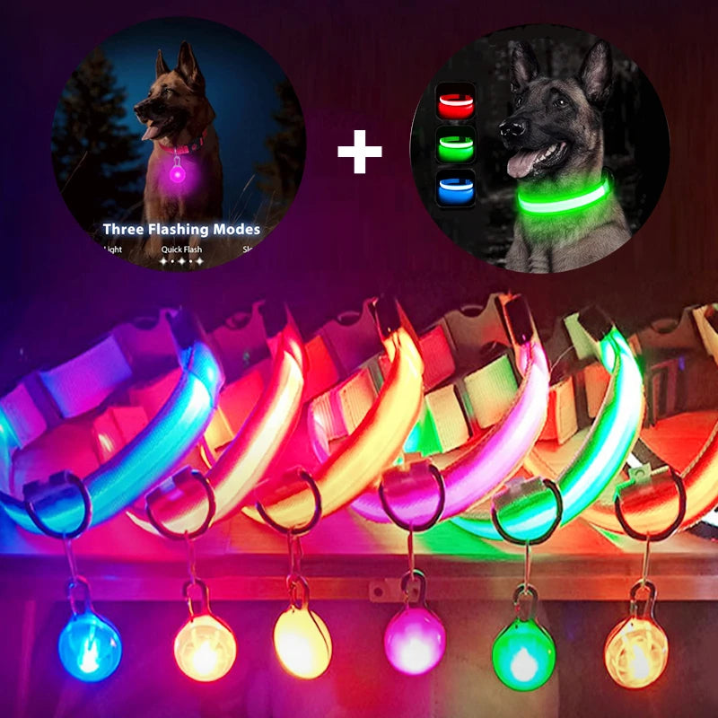 USB Rechargeable LED Waterproof Dog Collar with Detachable Light PeakPaws Co.