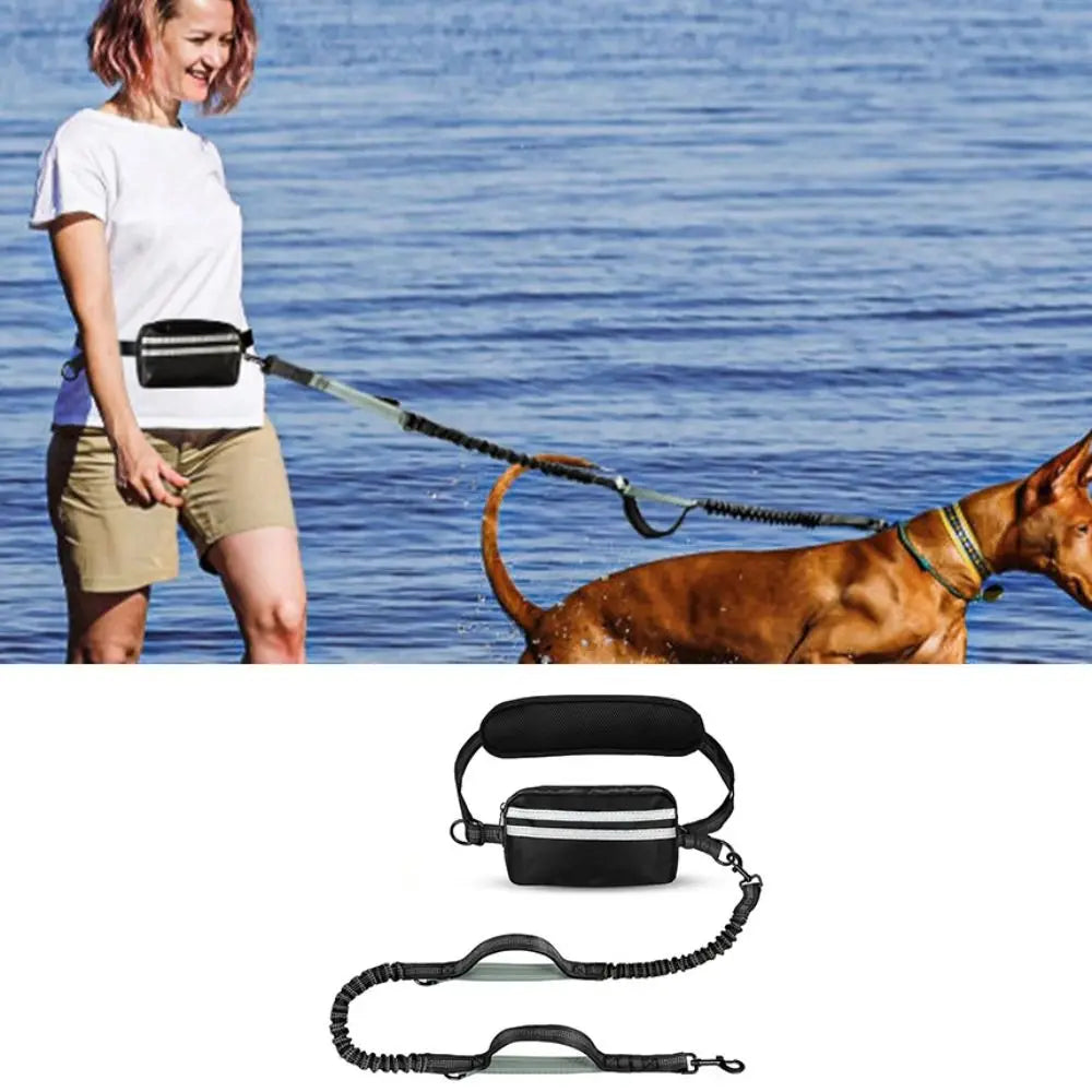 Hands-Free Dog Waist Leash with Reflective Strip & Zipper Pouch | Adjustable Belt, Dual or Single Bungee PeakPaws Co.