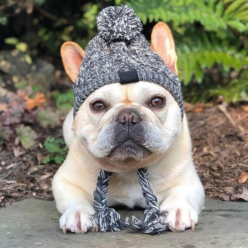 Winter Dog Knit Hat with Ear Holes & Pom Pom PeakPaws Co.