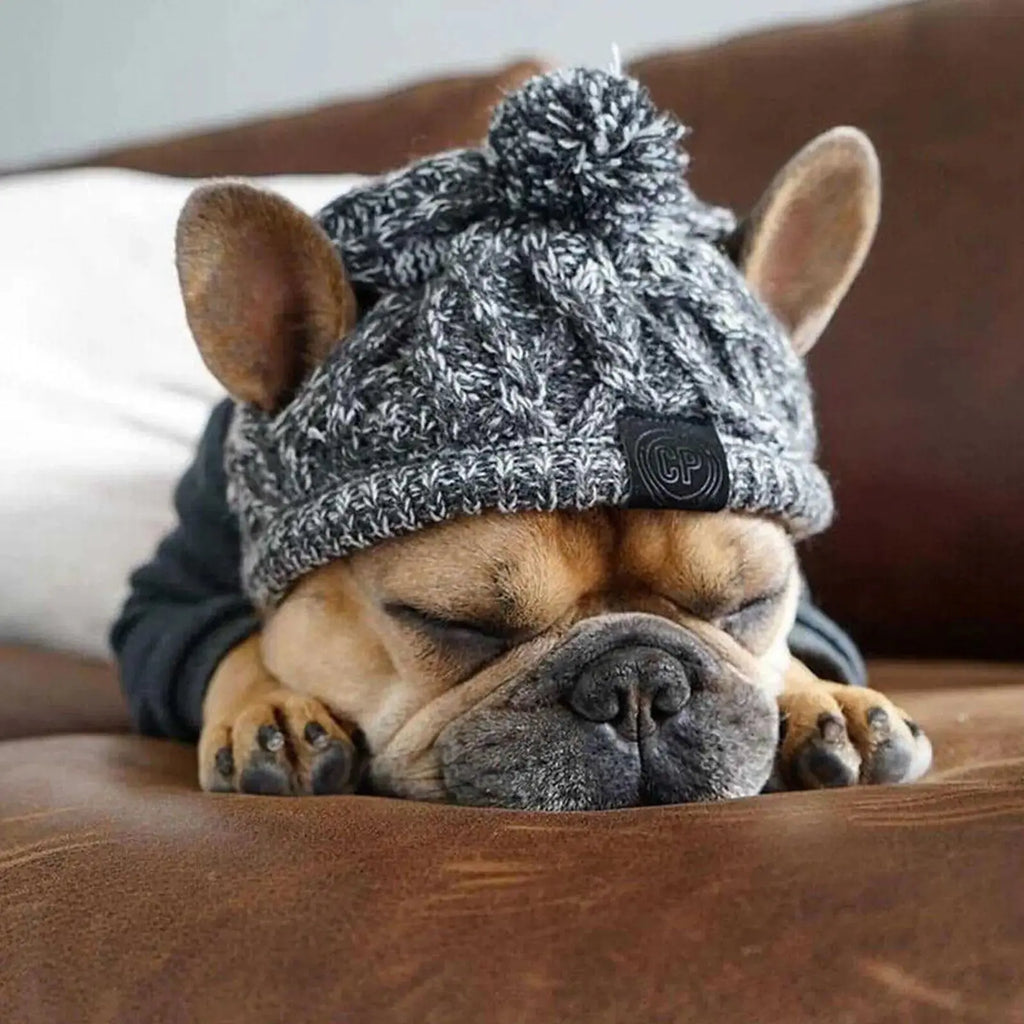 Winter Dog Knit Hat with Ear Holes & Pom Pom PeakPaws Co.