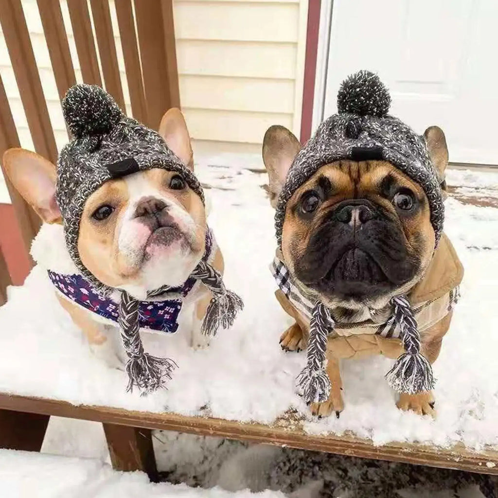 Winter Dog Knit Hat with Ear Holes & Pom Pom PeakPaws Co.