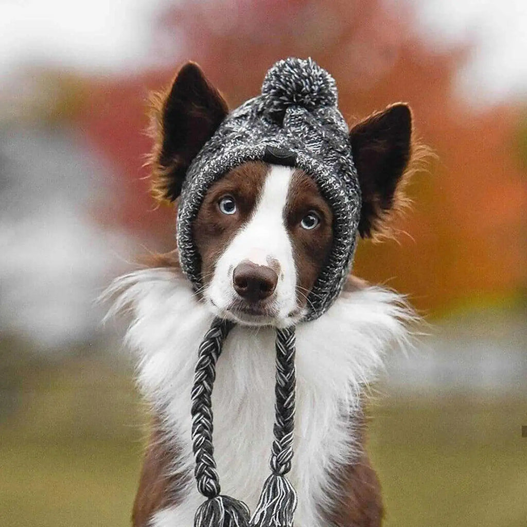 Winter Dog Knit Hat with Ear Holes & Pom Pom PeakPaws Co.