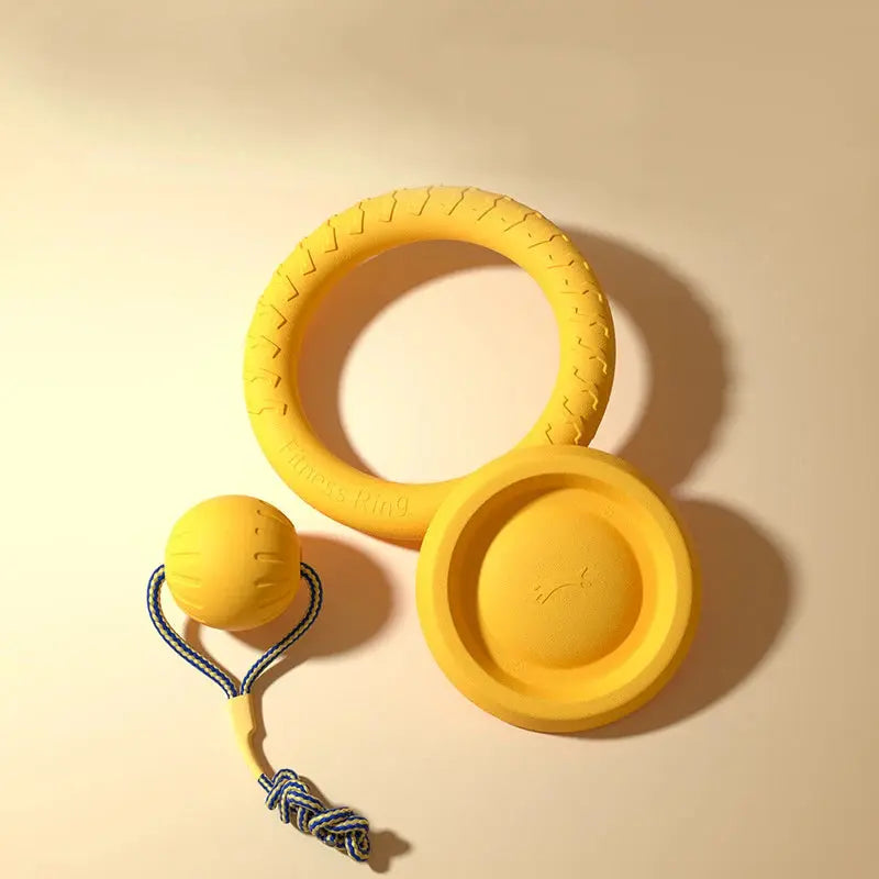 Dog Toy Set (4-Pack) – EVA Durable Fetch, Tug & Chew Toys for Outdoor Play (Disc, Ball, Rope, Ring – L/XL) PeakPaws Co.