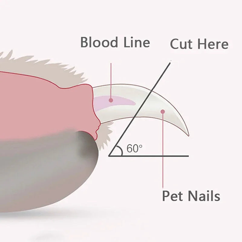 LED Dog Nail Clippers – Professional Pet Nail Trimmer with Light PeakPaws Co.