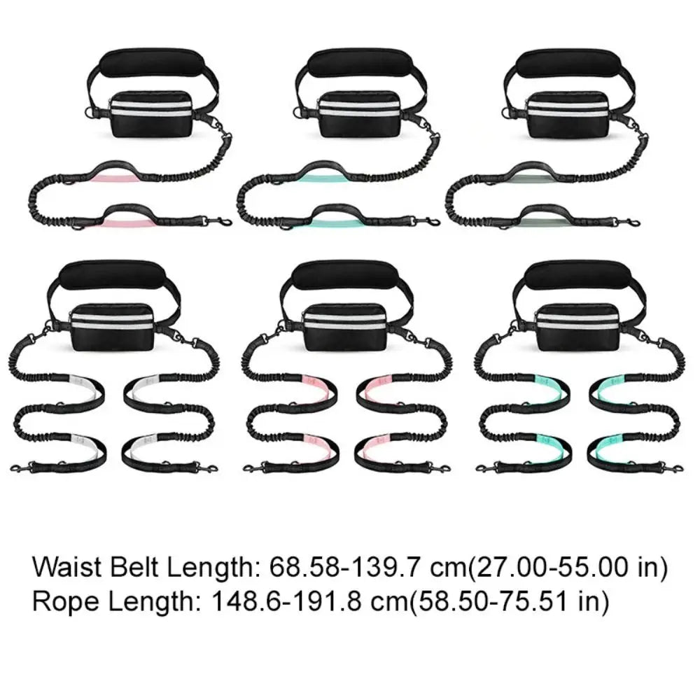 Hands-Free Dog Waist Leash with Reflective Strip & Zipper Pouch | Adjustable Belt, Dual or Single Bungee PeakPaws Co.