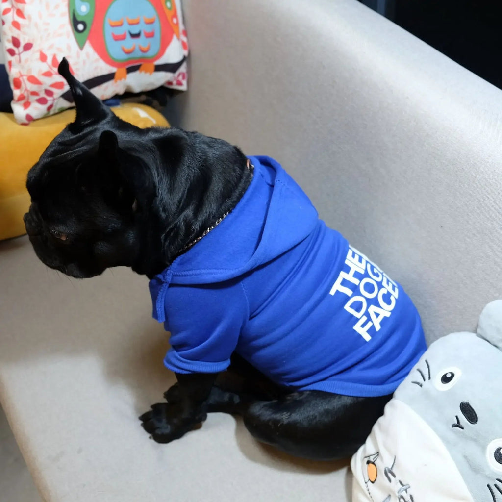 The Dog Face Hoodie – Warm Dog Sweatshirt for Small to Large Dogs (Up to 80 lbs, 5 Colors) PeakPaws Co.