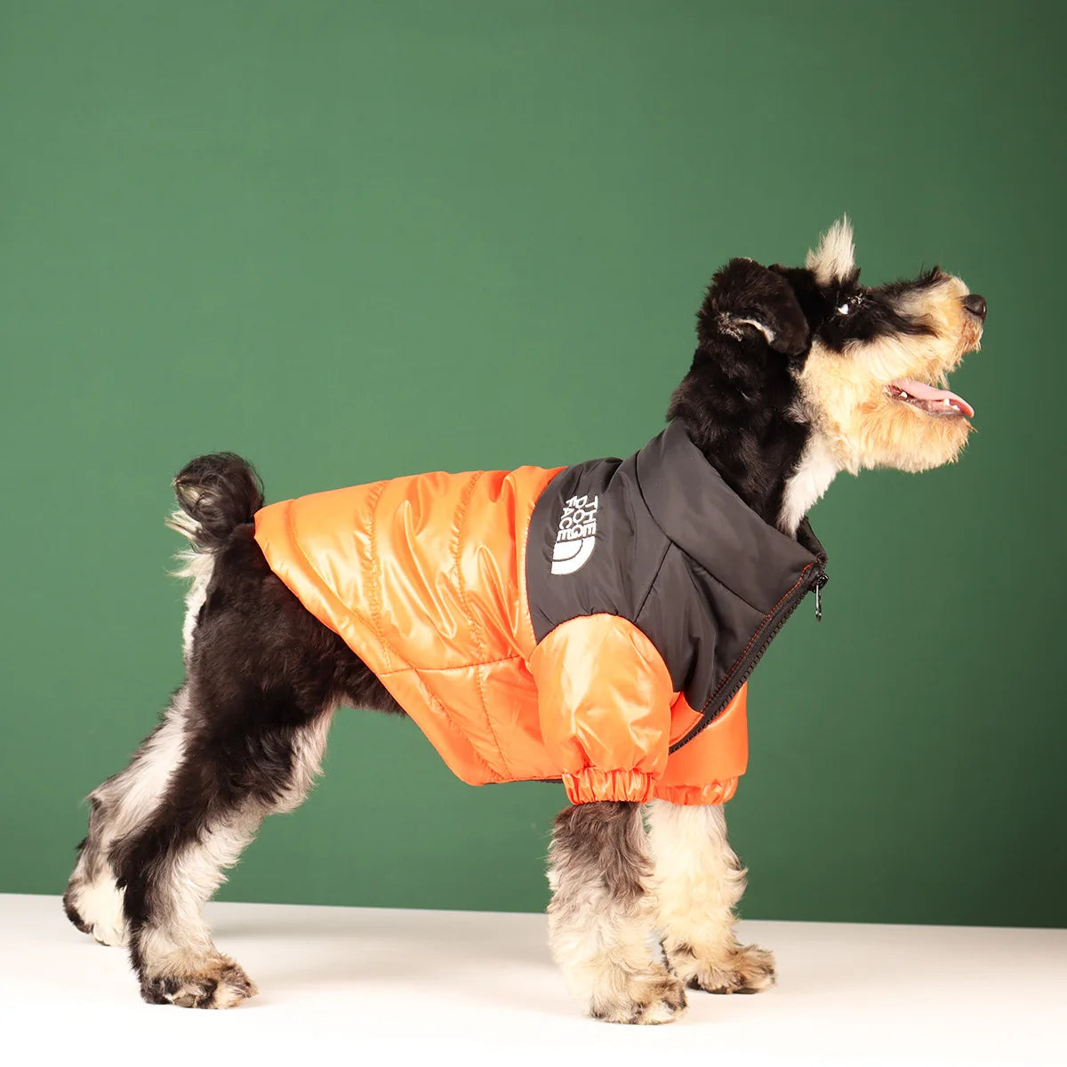 Windproof 'The Dog Face' Winter Jacket with Reflective Trim – Zip-Up Warm Coat for Small & Medium Dogs (Up to 55 lbs) PeakPaws Co.