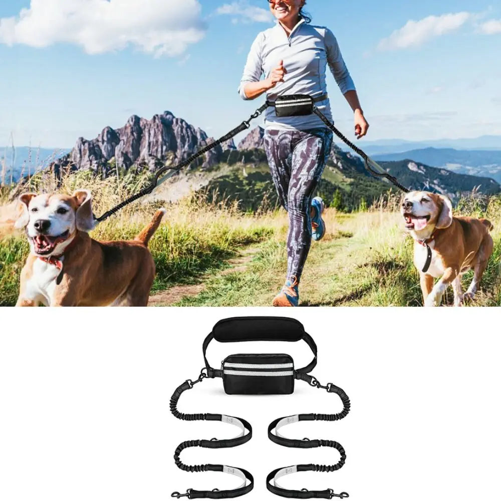 Hands-Free Dog Waist Leash with Reflective Strip & Zipper Pouch | Adjustable Belt, Dual or Single Bungee PeakPaws Co.