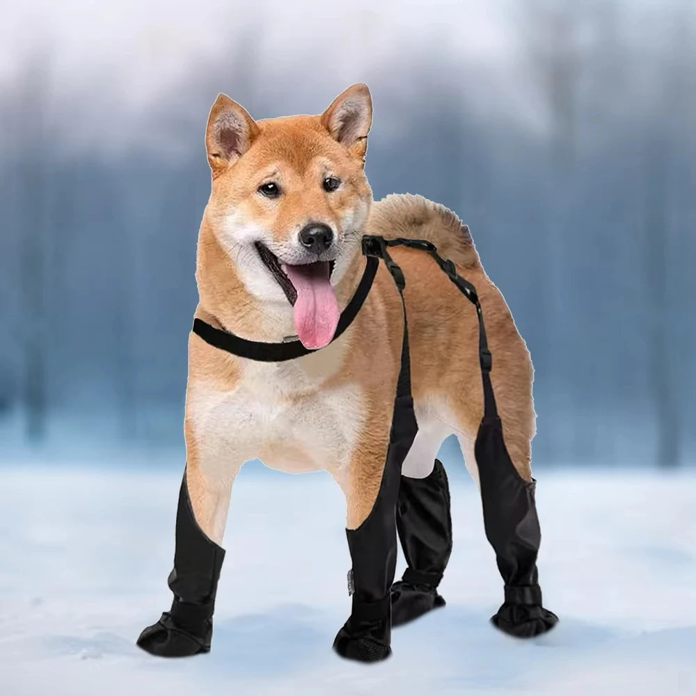 Anti-Slip Waterproof Dog Boots with Suspenders – Paw Protector Shoes PeakPaws Co.