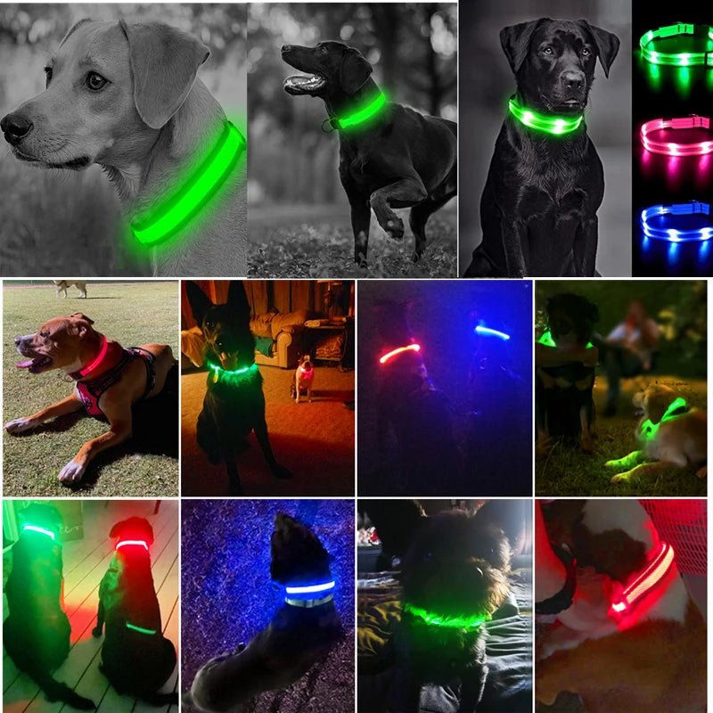 USB Rechargeable LED Waterproof Dog Collar with Detachable Light PeakPaws Co.