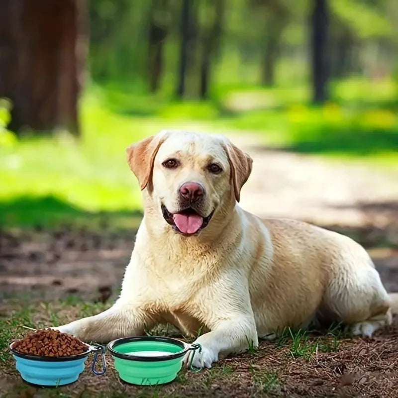 Collapsible Dog Bowls with Lid (2-Pack) – Portable Travel Food & Water Bowls PeakPaws Co.