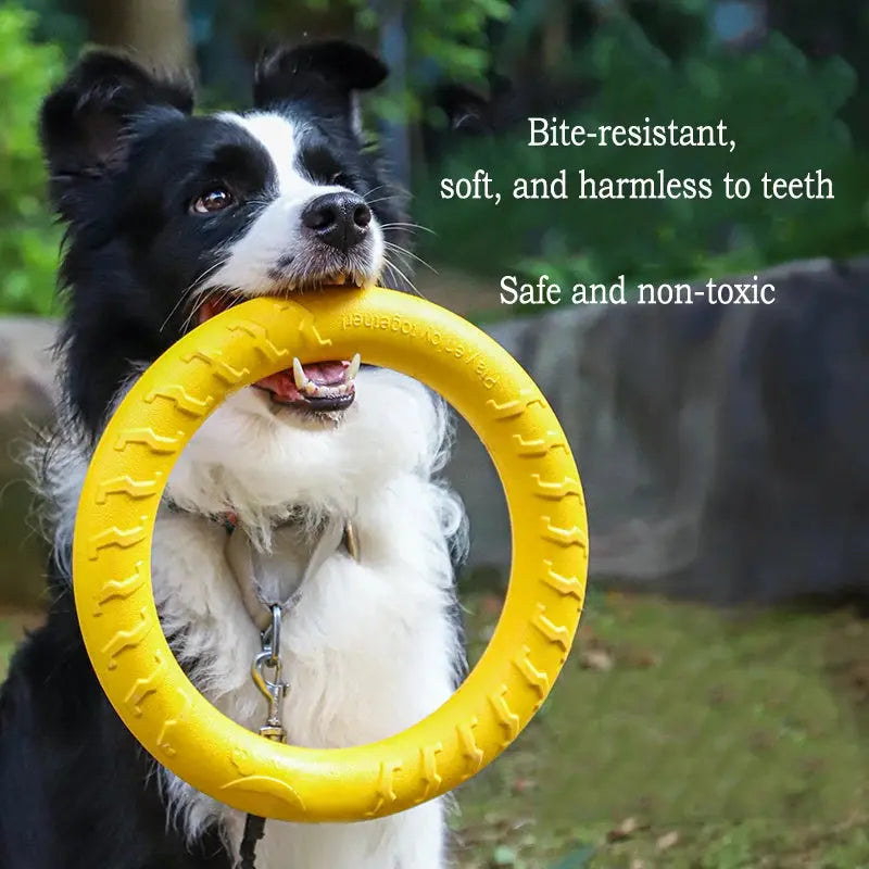 Dog Toy Set (4-Pack) – EVA Durable Fetch, Tug & Chew Toys for Outdoor Play (Disc, Ball, Rope, Ring – L/XL) PeakPaws Co.