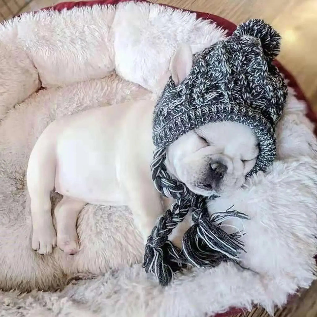 Winter Dog Knit Hat with Ear Holes & Pom Pom PeakPaws Co.