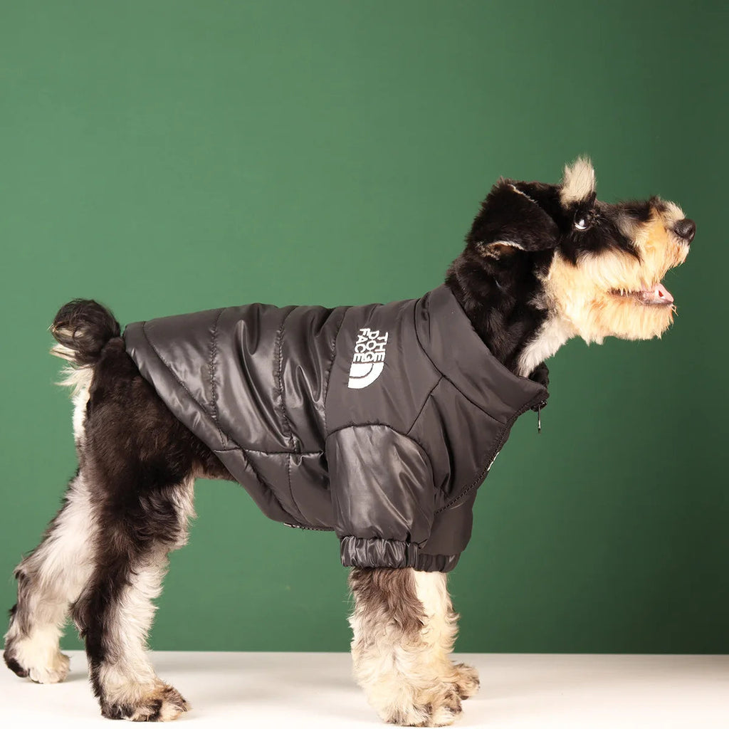 Windproof 'The Dog Face' Winter Jacket with Reflective Trim – Zip-Up Warm Coat for Small & Medium Dogs (Up to 55 lbs) PeakPaws Co.