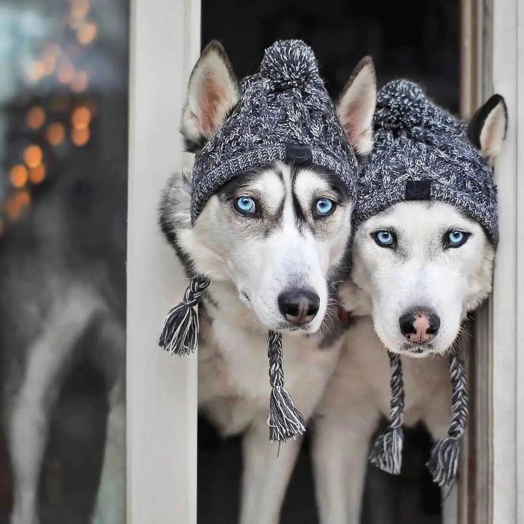 Winter Dog Knit Hat with Ear Holes & Pom Pom PeakPaws Co.