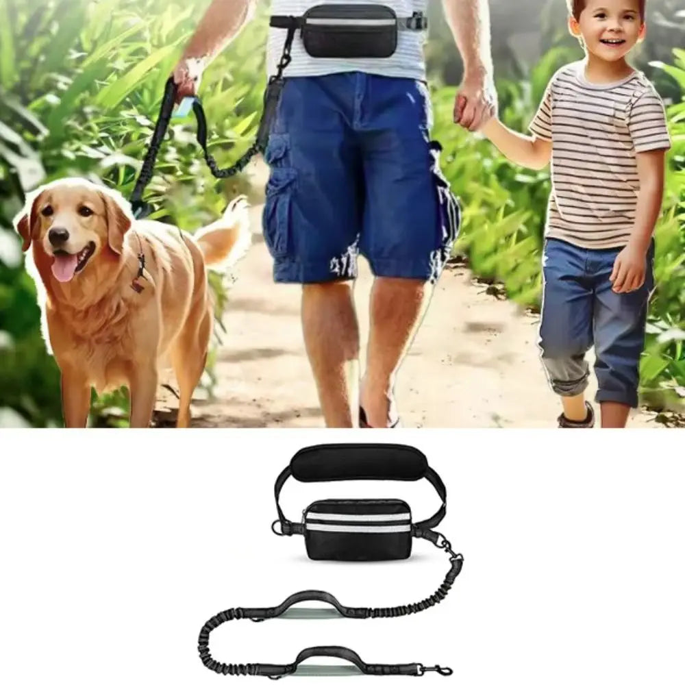 Hands-Free Dog Waist Leash with Reflective Strip & Zipper Pouch | Adjustable Belt, Dual or Single Bungee PeakPaws Co.