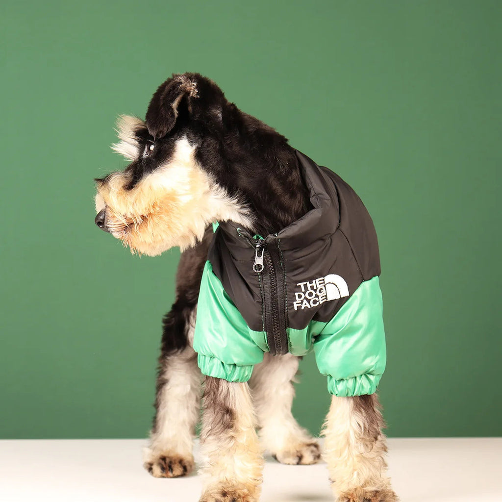 Windproof 'The Dog Face' Winter Jacket with Reflective Trim – Zip-Up Warm Coat for Small & Medium Dogs (Up to 55 lbs) PeakPaws Co.