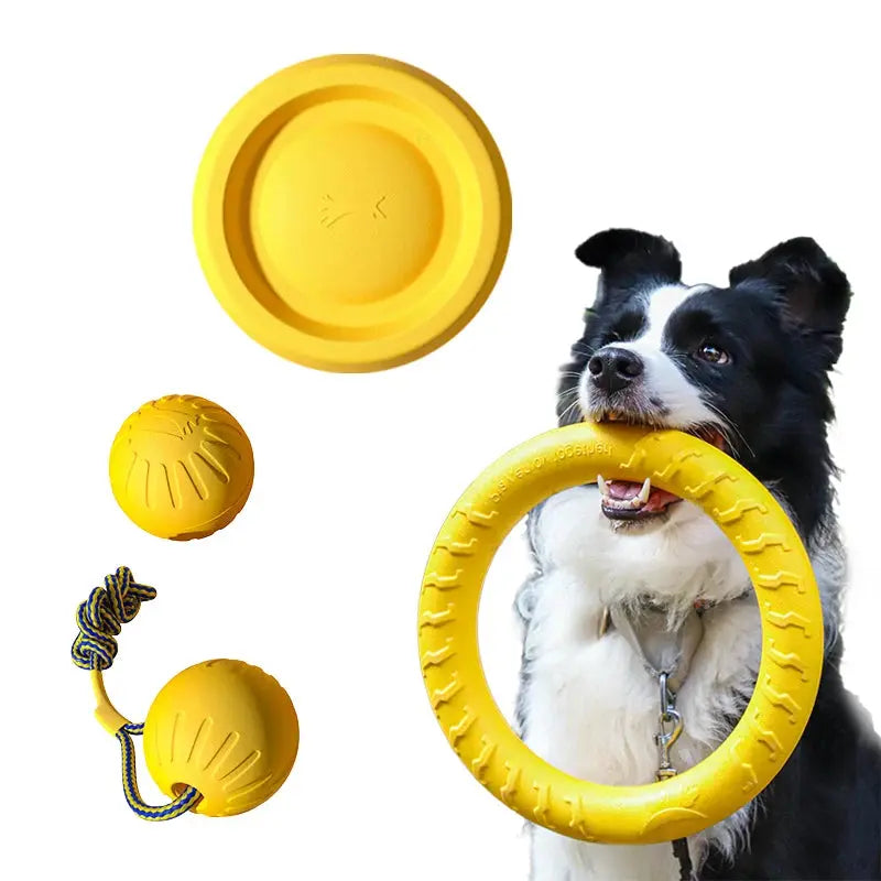 Dog Toy Set (4-Pack) – EVA Durable Fetch, Tug & Chew Toys for Outdoor Play (Disc, Ball, Rope, Ring – L/XL) PeakPaws Co.
