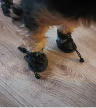 Waterproof Dog Rain Boots (4-Pack) – Anti-Slip Paw Protectors for Hiking, Rain & Mud PeakPaws Co.