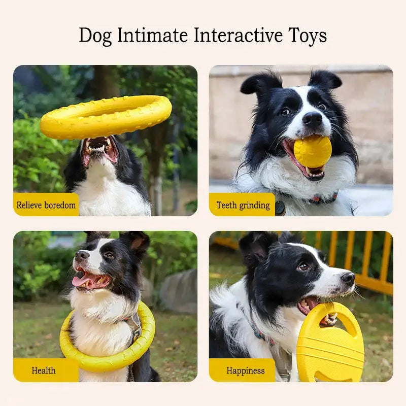 Dog Toy Set (4-Pack) – EVA Durable Fetch, Tug & Chew Toys for Outdoor Play (Disc, Ball, Rope, Ring – L/XL) PeakPaws Co.