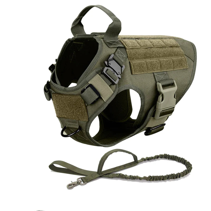 Tactical Adventure Dog Harness and Leash Set