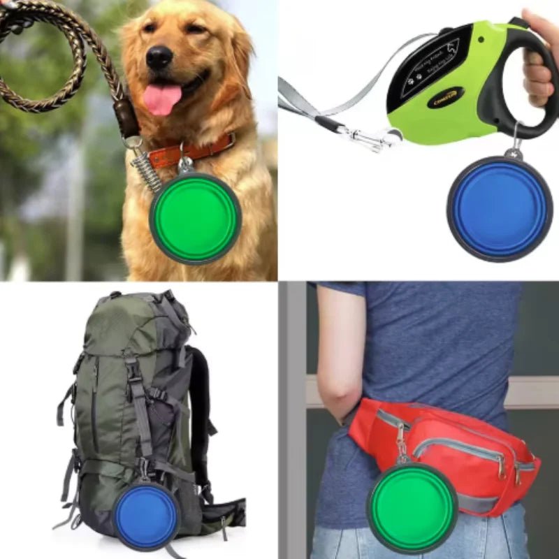 Collapsible Dog Travel Bowl – Portable Silicone Pet Food & Water Bowl 350ml–1000ml, 10 Colors - PeakPaws Co.