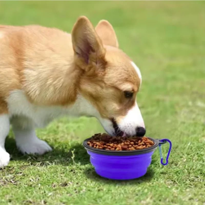 Collapsible Dog Travel Bowl – Portable Silicone Pet Food & Water Bowl 350ml–1000ml, 10 Colors - PeakPaws Co.