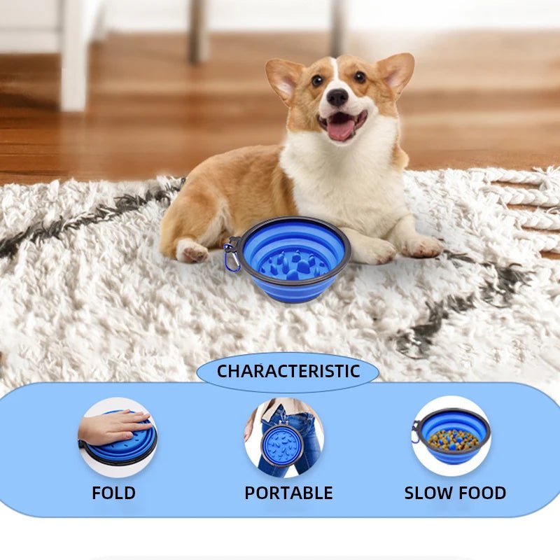 Collapsible Slow Feeder Dog Bowl – Portable Anti-Gulping Travel Bowl with Carabiner 350ml/1000ml - PeakPaws Co.