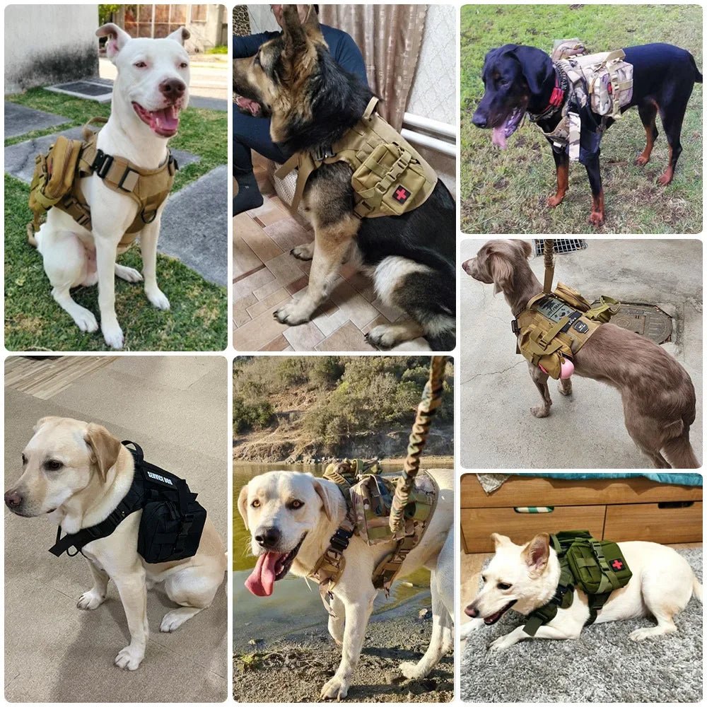 Dog Tactical MOLLE Pouch Set (3PCS) – Harness-Mounted Storage Bags for Hiking, Camping & Training (4 Colors) - PeakPaws Co.
