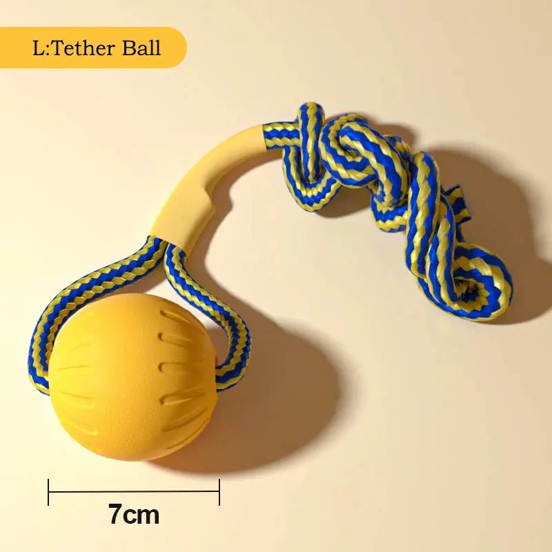 Dog Toy Set (4-Pack) – EVA Durable Fetch, Tug & Chew Toys for Outdoor Play (Disc, Ball, Rope, Ring – L/XL) - PeakPaws Co.