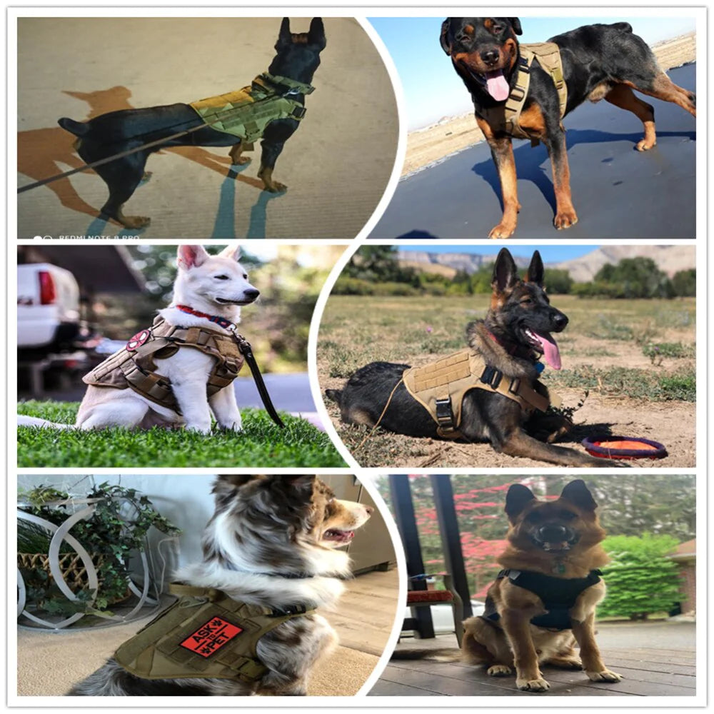 Tactical Adventure Dog Harness and Leash Set