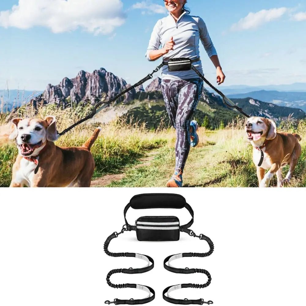 Hands-Free Dog Waist Leash with Reflective Strip & Zipper Pouch | Adjustable Belt, Dual or Single Bungee - PeakPaws Co.