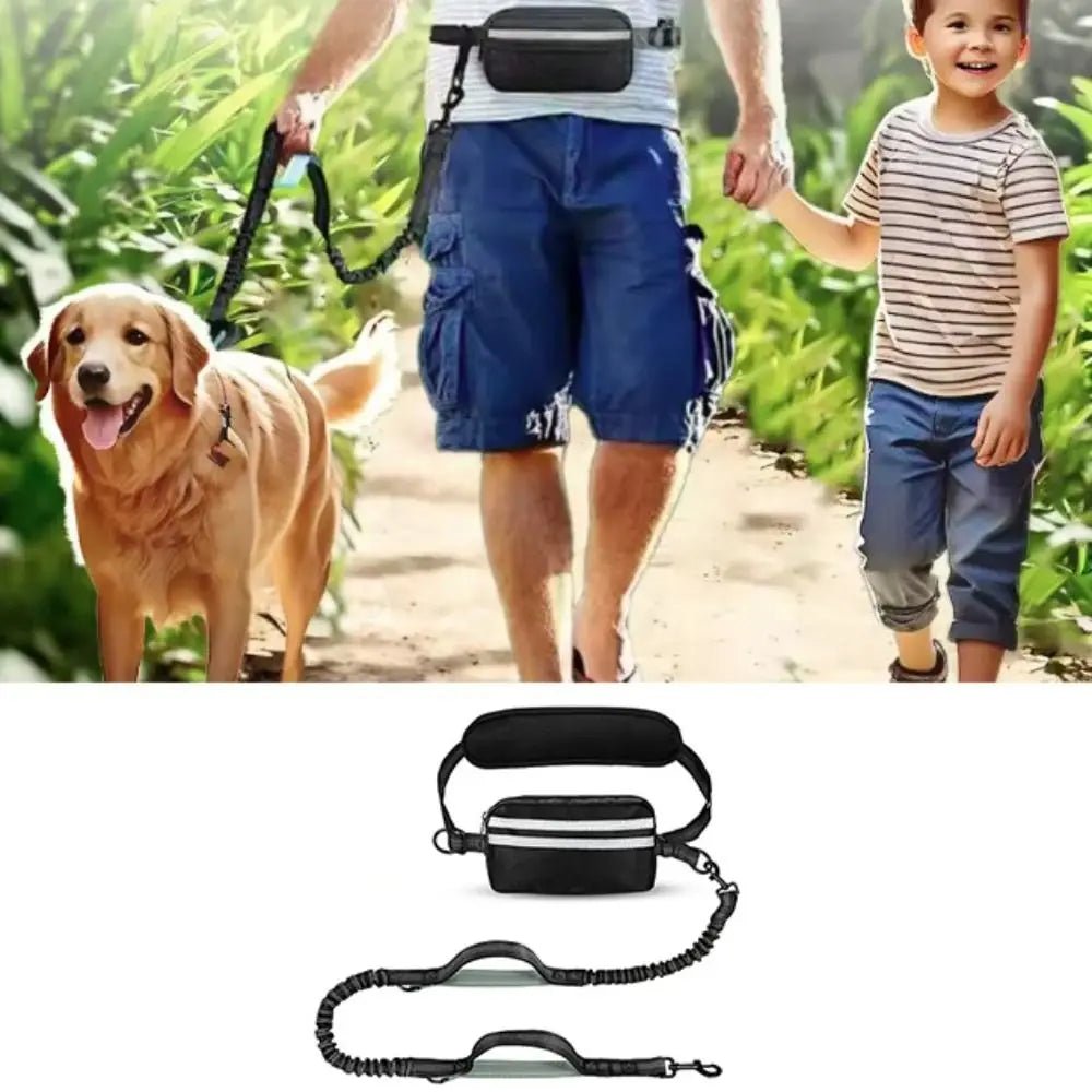 Hands-Free Dog Waist Leash with Reflective Strip & Zipper Pouch | Adjustable Belt, Dual or Single Bungee - PeakPaws Co.