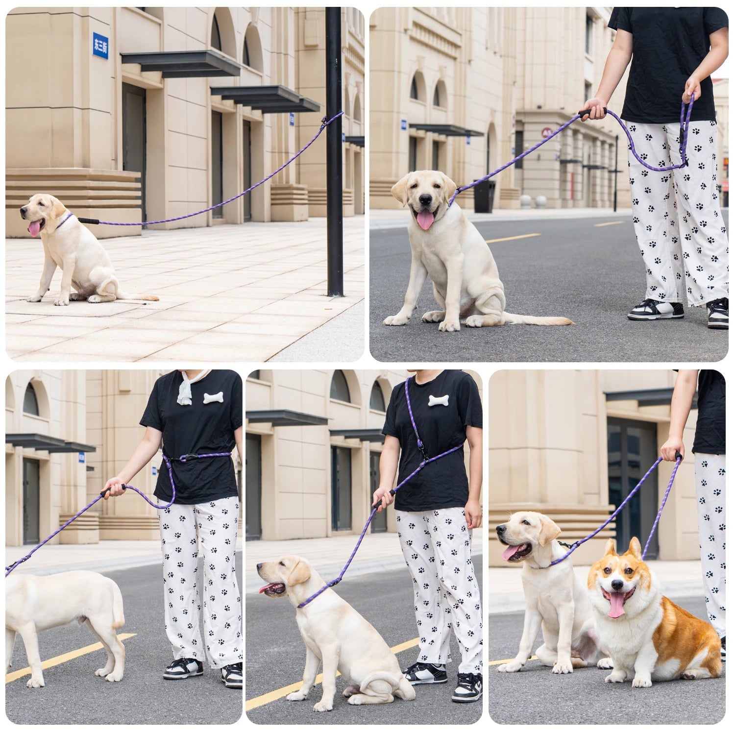 Hands-Free Heavy Duty 7.5 Ft. Dog Leash – Convertible Crossbody & Waist Leash for 1 or 2 Dogs - PeakPaws Co.