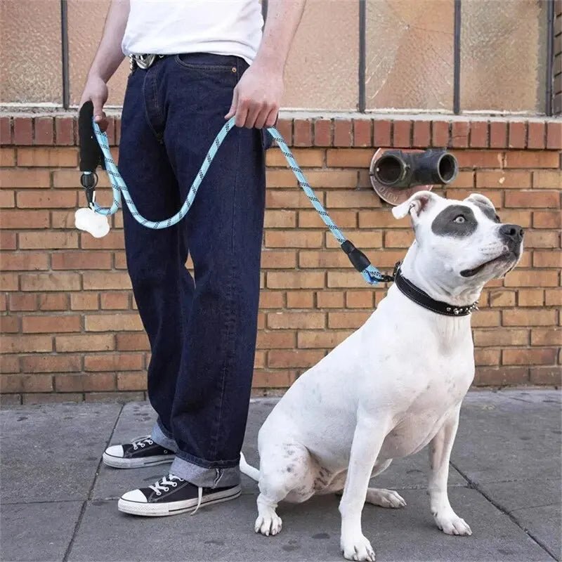 Reflective Heavy Duty Dog Leash with Padded Handle - PeakPaws Co.